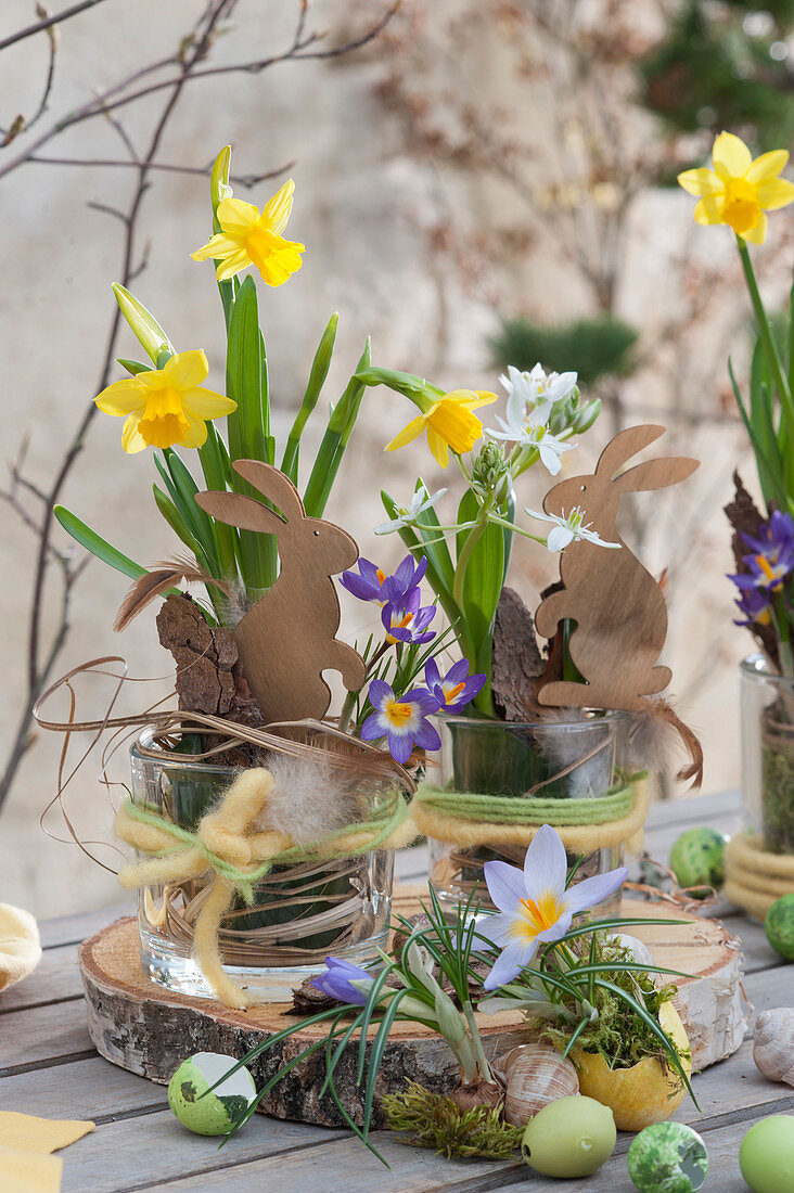 Osterdekoration mit Narzissen, Milchstern und Krokus auf Birkenholz-Scheibe