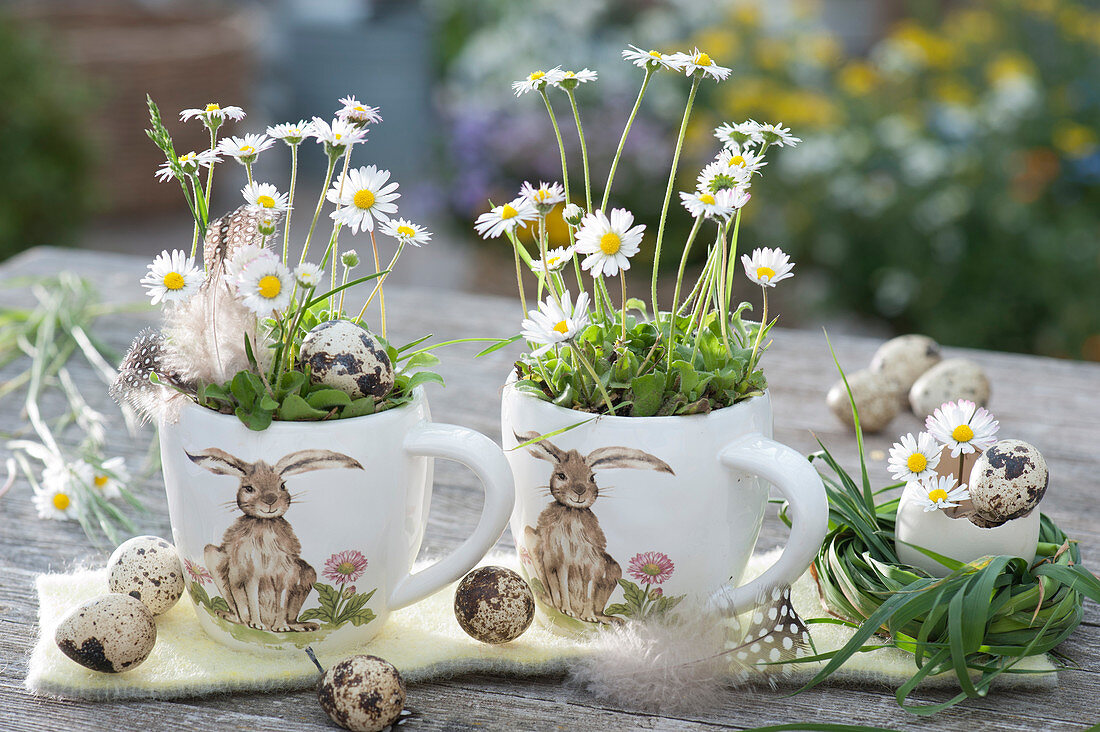 Daisies in rabbit cups, decorated with quail eggs, feathers and grass wreaths