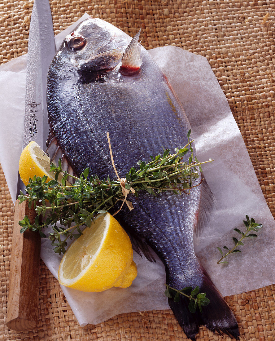 Raw gilthead bream with thyme and lemon