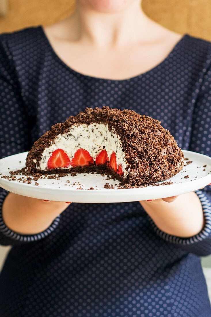 Maulwurfkuchen – creamy quark cake with strawberries (low carb)