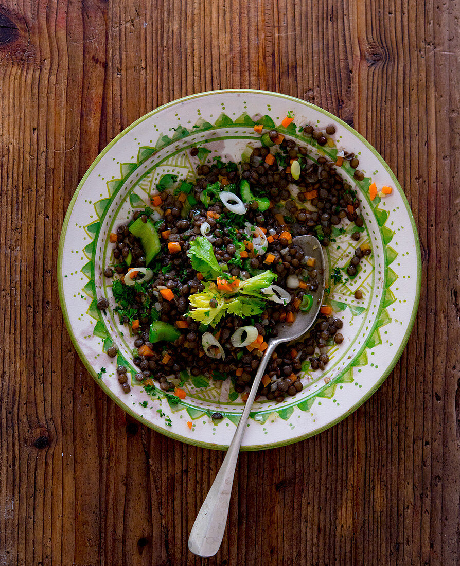 Puylinsensalat mit Gemüse