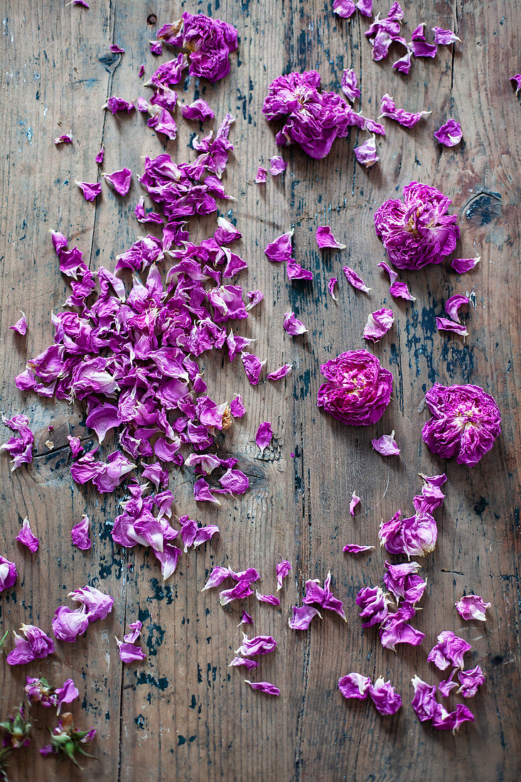 Rose flowers on wooden surface