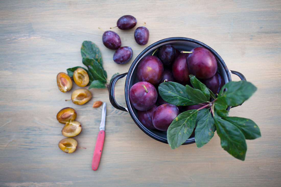 Fresh plums in a pot and stones on a wooden background