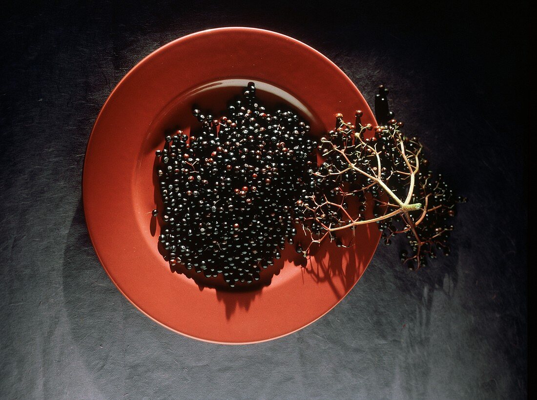 A Bowl of Elderberries; Branch