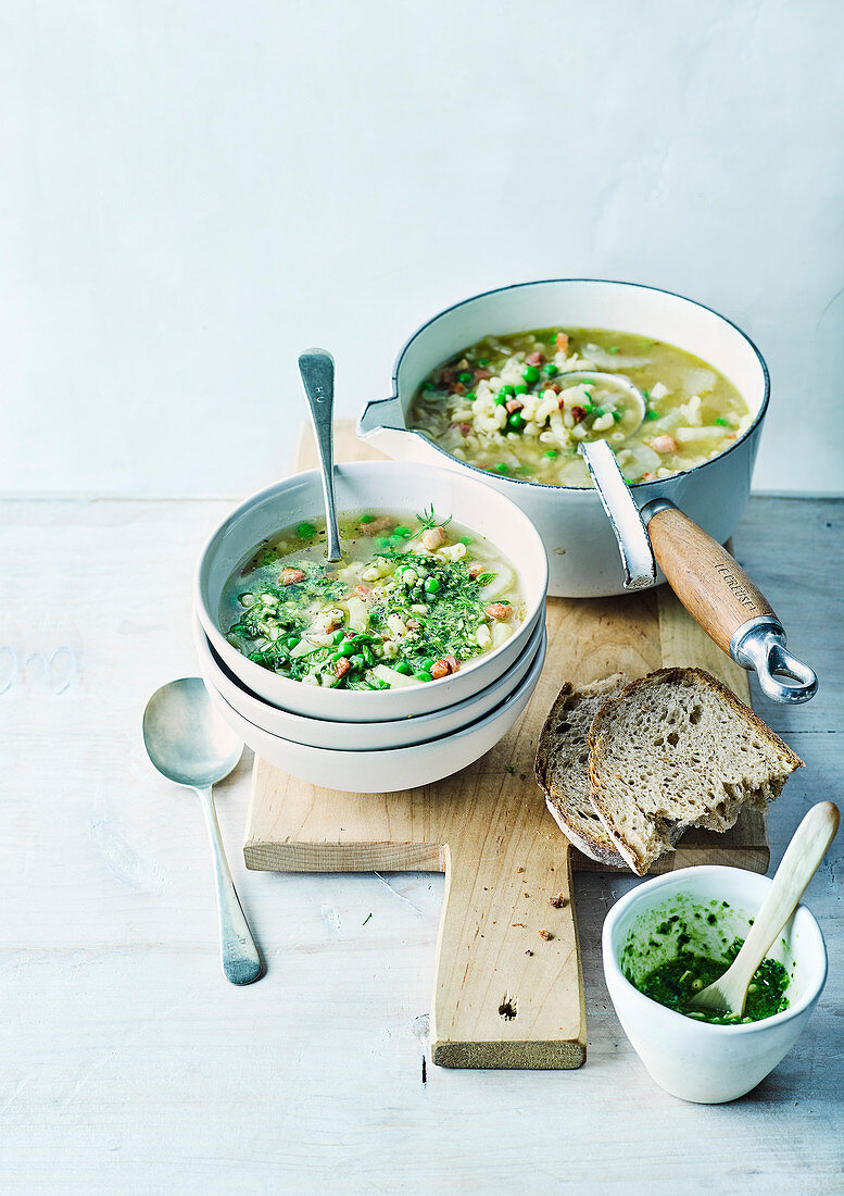 Fennel and pancetta minestrone with macaroni