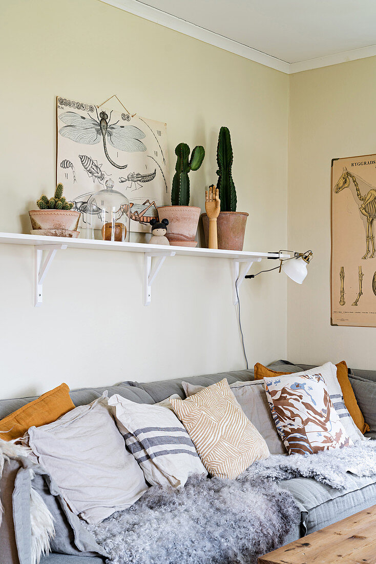 Collection of scatter cushions on pale grey sofa below cacti on shelf