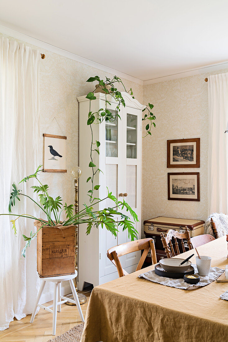Blick über Esstisch auf Zimmerpflanze und weißen Geschirrschrank
