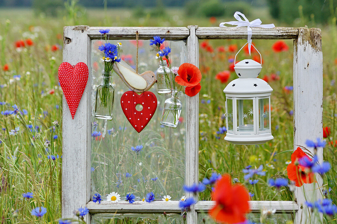 Heart-shaped decorations, cornflowers and candle lantern adorning window frame in poppy field