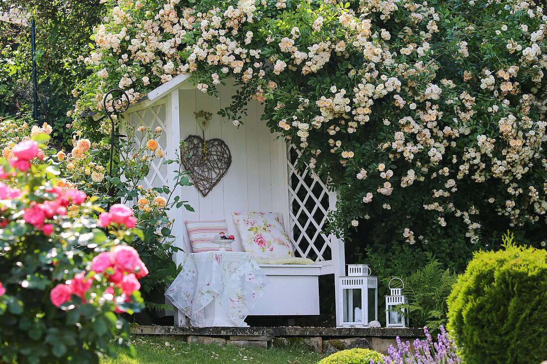 Rose arbour in sloping garden