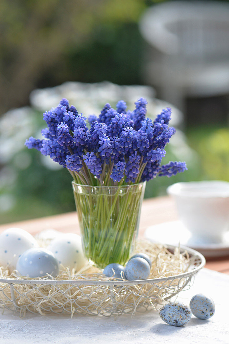 Vase mit Muscari in Korbschale mit Ostereiern