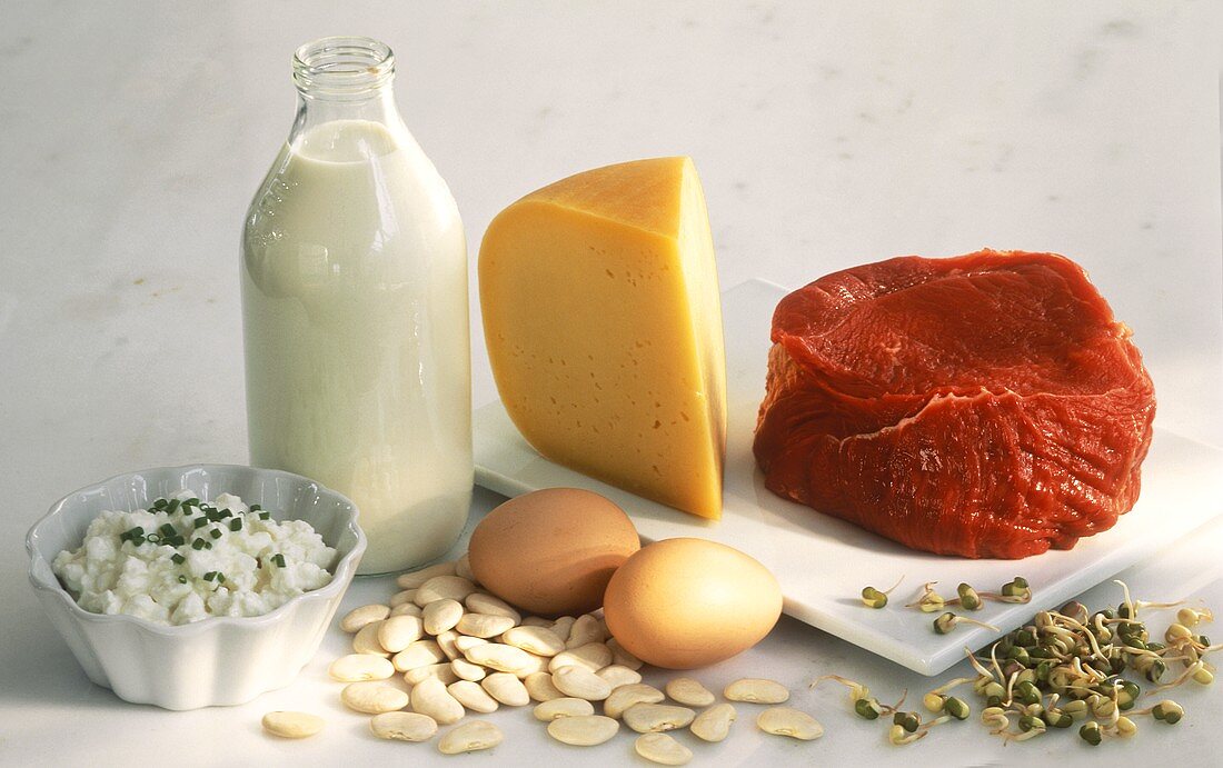 Eiweißreiche Produkte-Milch,Käse,Eier,Bohnen,Fleisch,Sprossen