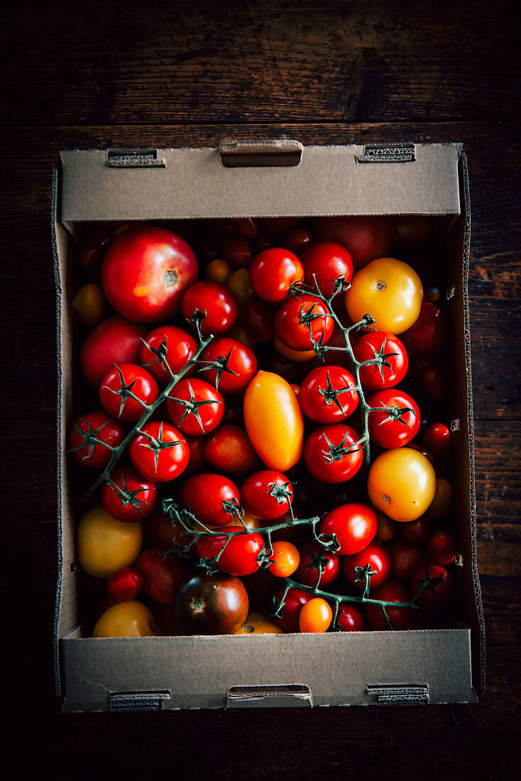 Tomaten in einer Box