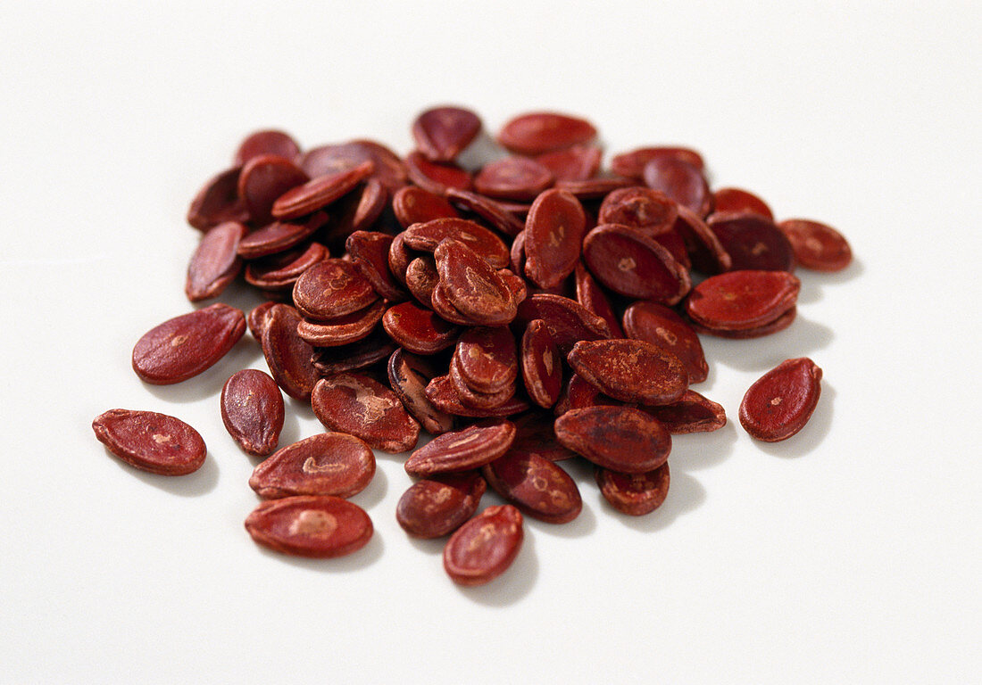 Dried red unpeeled melon seeds