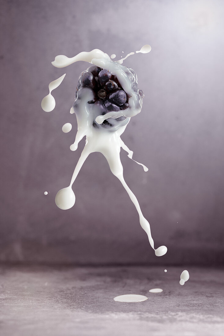 A blackberry with a milk splash