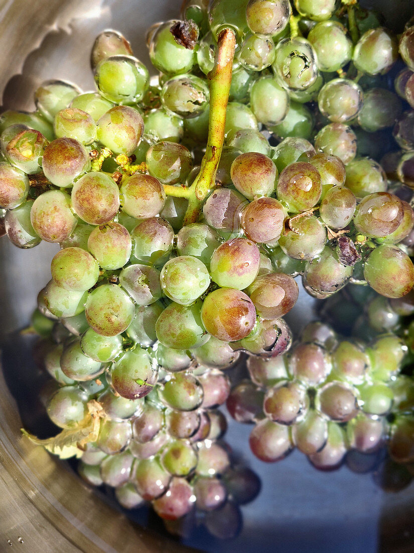 Washed grapes