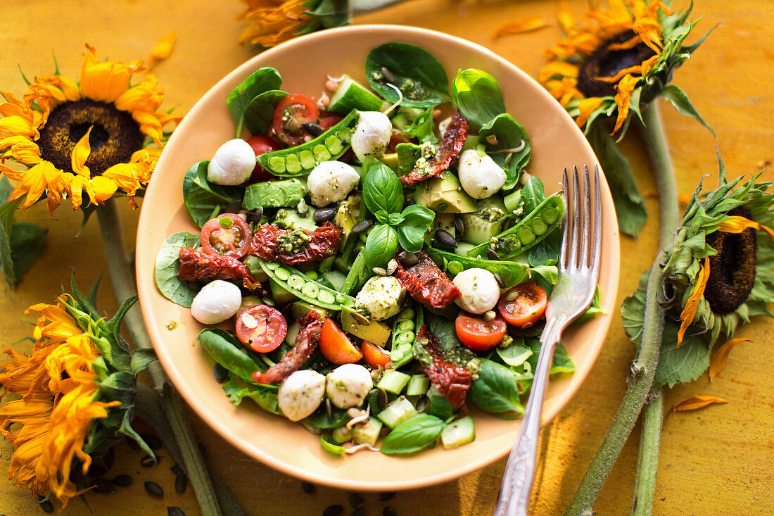 Salad bowl with mozzarella, snap peas, spinach, sunflower seeds and sundried tomato