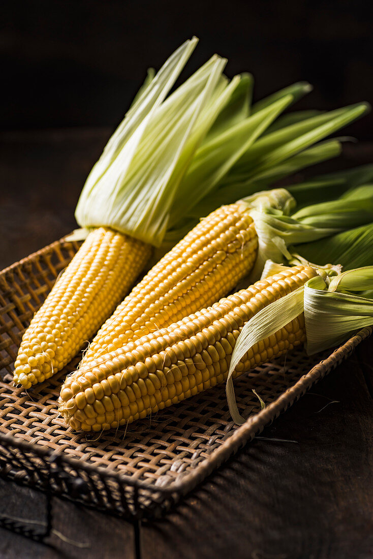 Frech corn cobs