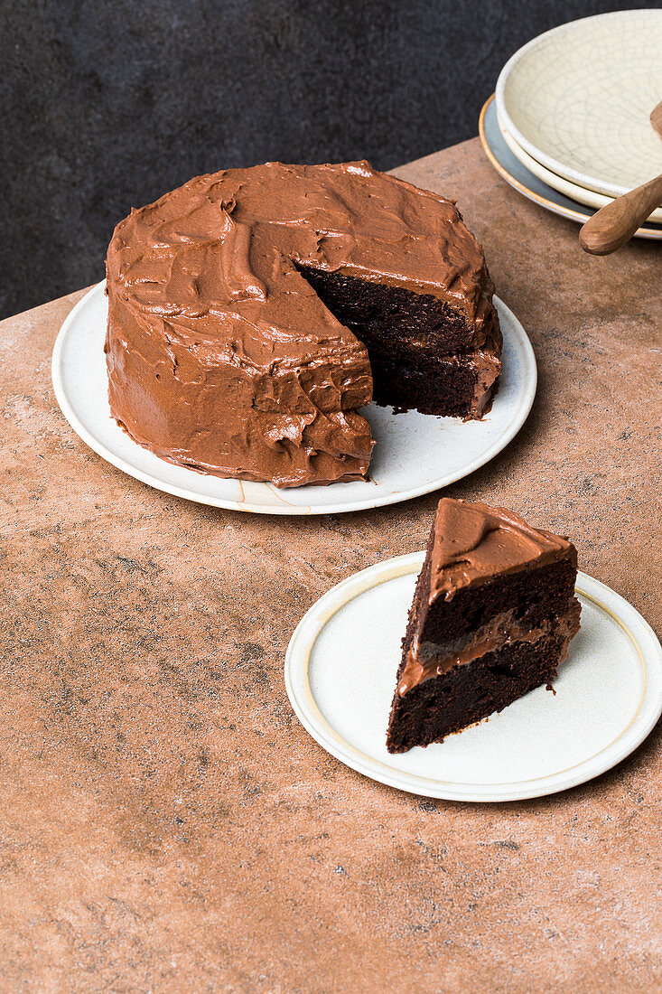 Devil's food cake with chocolate frosting