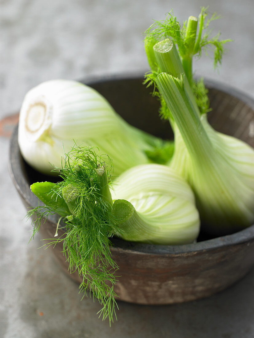 Frischer Fenchel in einer Schale