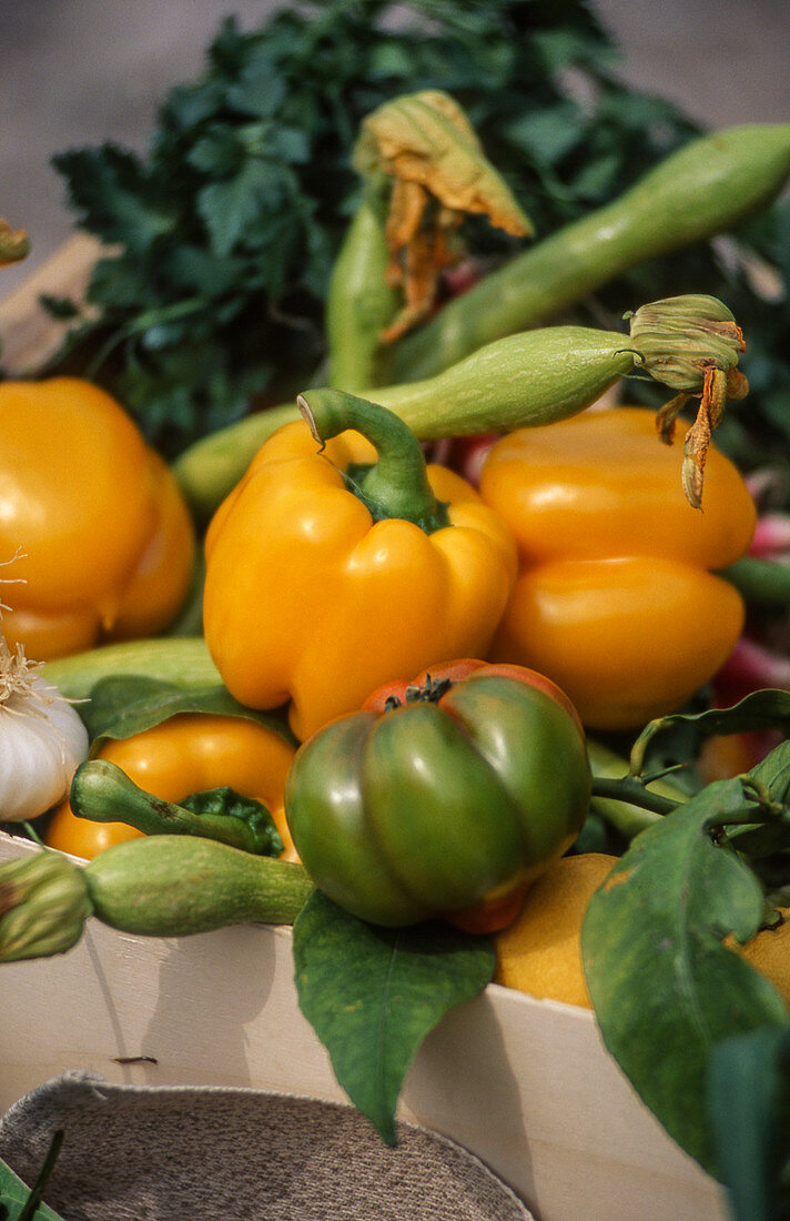 Fresh vegetables flatlay overhead frame