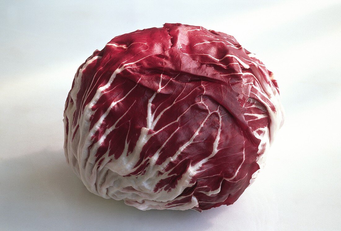 Head of Red Cabbage