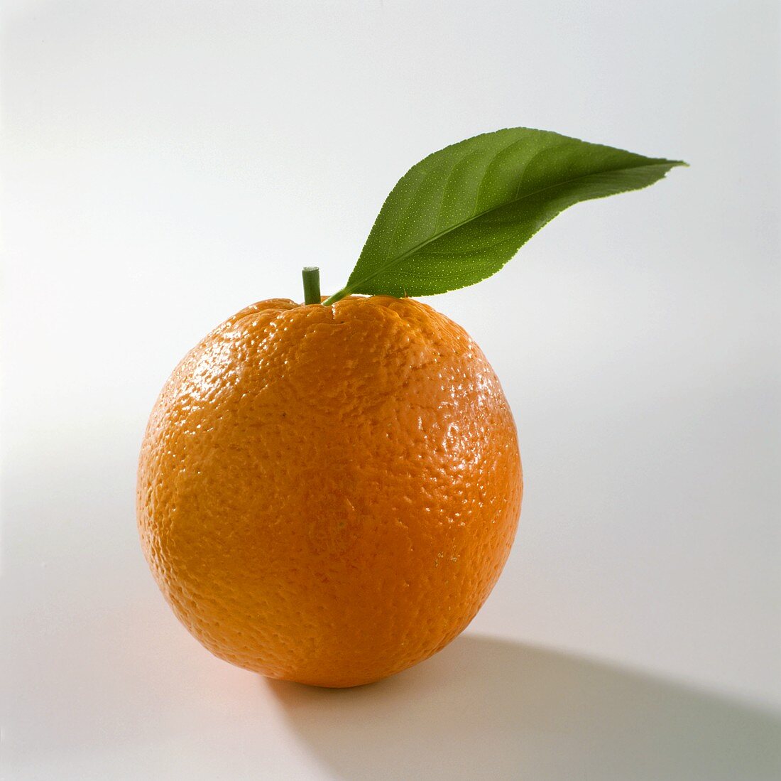 Orange with Leaf