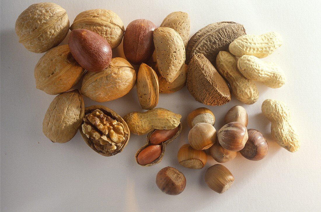 Walnuts, pecan nuts, peanuts, Brazil nuts and hazelnuts