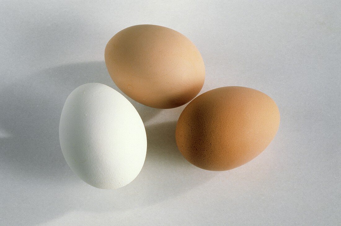 One White Egg with Two Brown Eggs