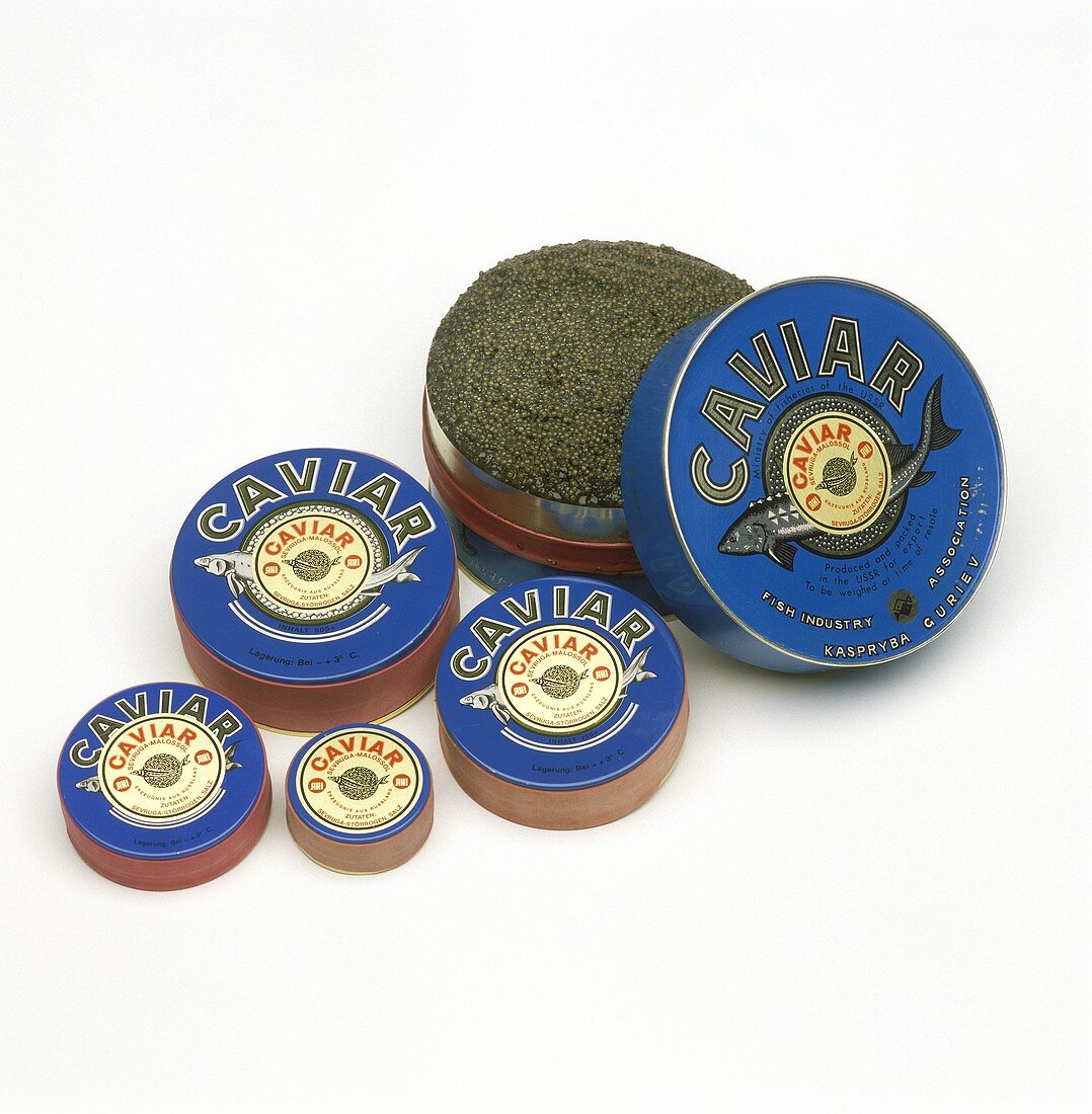 Russian black Sevruga caviar in tins