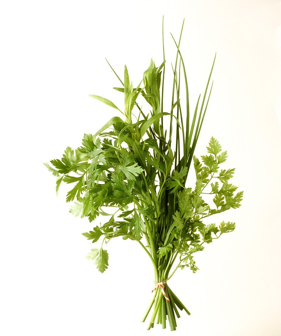 Kräuterstrauss: Fines herbes