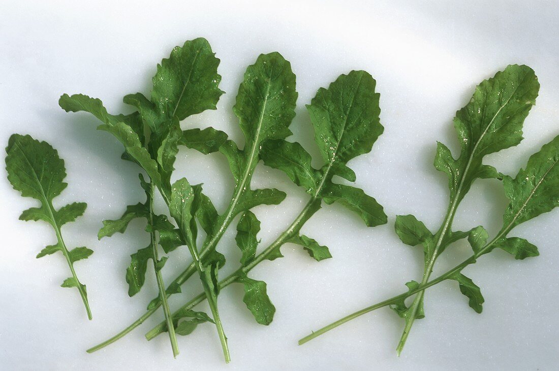 Fresh Leaves of Arugula