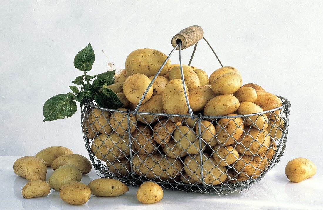 Several Potatoes in a Wire Basket