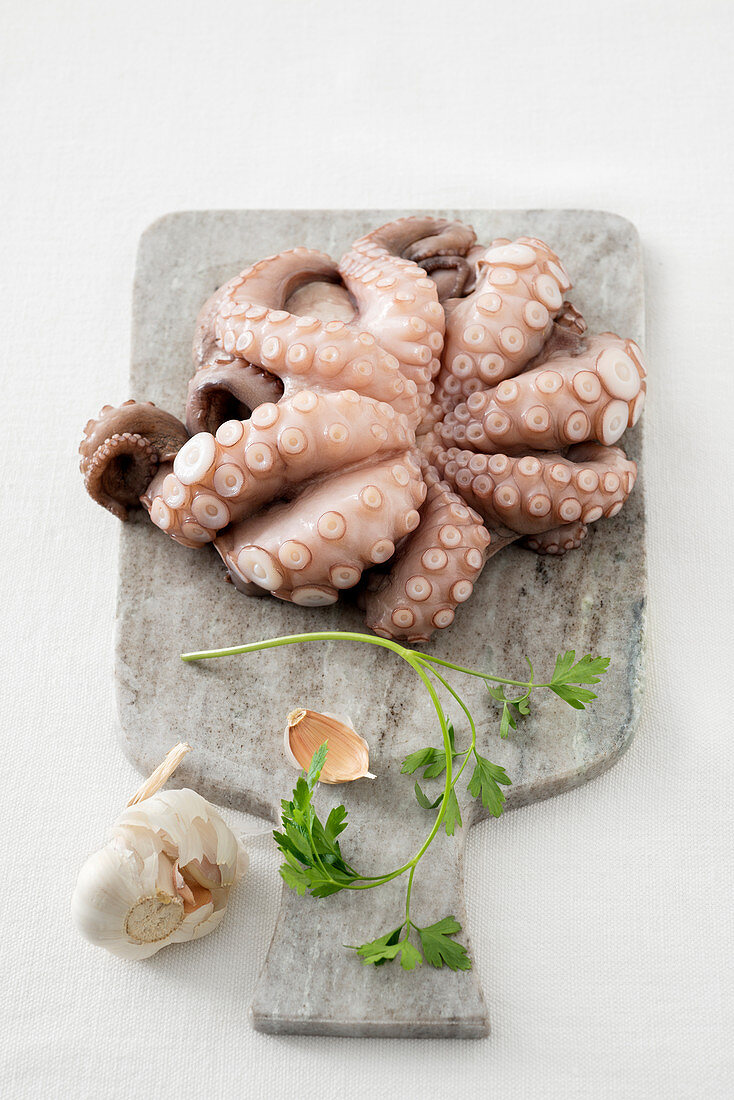 Oktopus mit Zutaten auf Marmorbrett