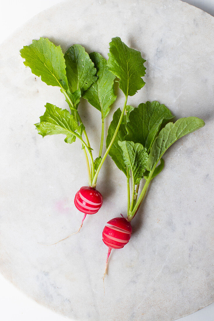 Two fresh radishes on a light surface