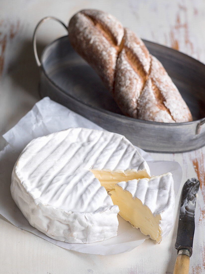 Camembert with bread