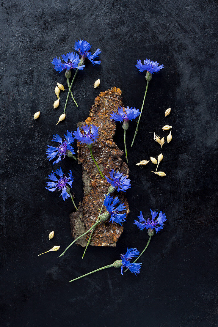 Legebild aus Kornblumen und Gerste auf dunklem Untergrund