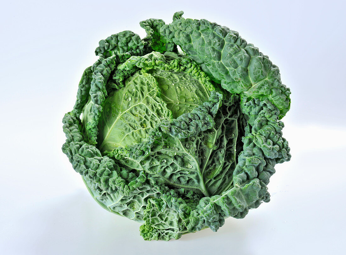 Savoy Cabbage