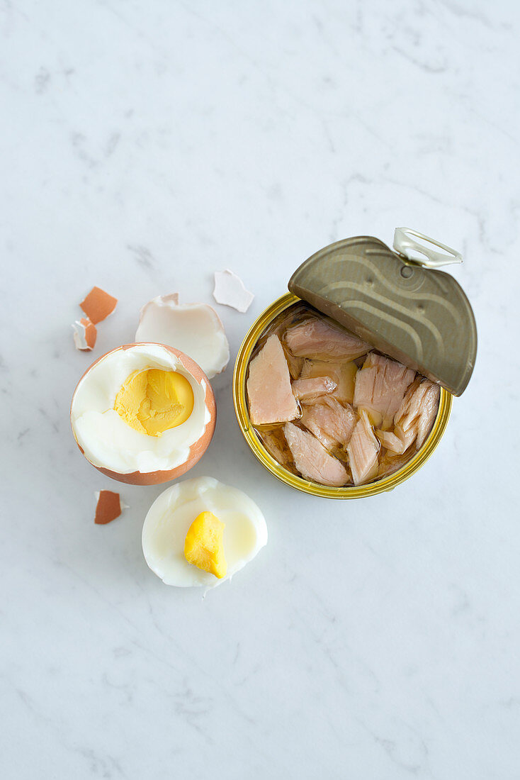 Stilleben mit offener Thunfischdose und hartgekochtem Ei