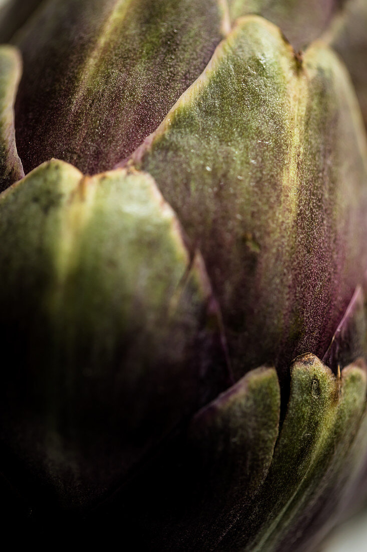 Artichoke; Close Up