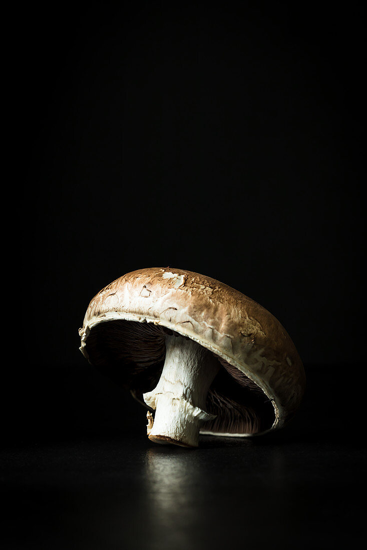 A fresh mushroom