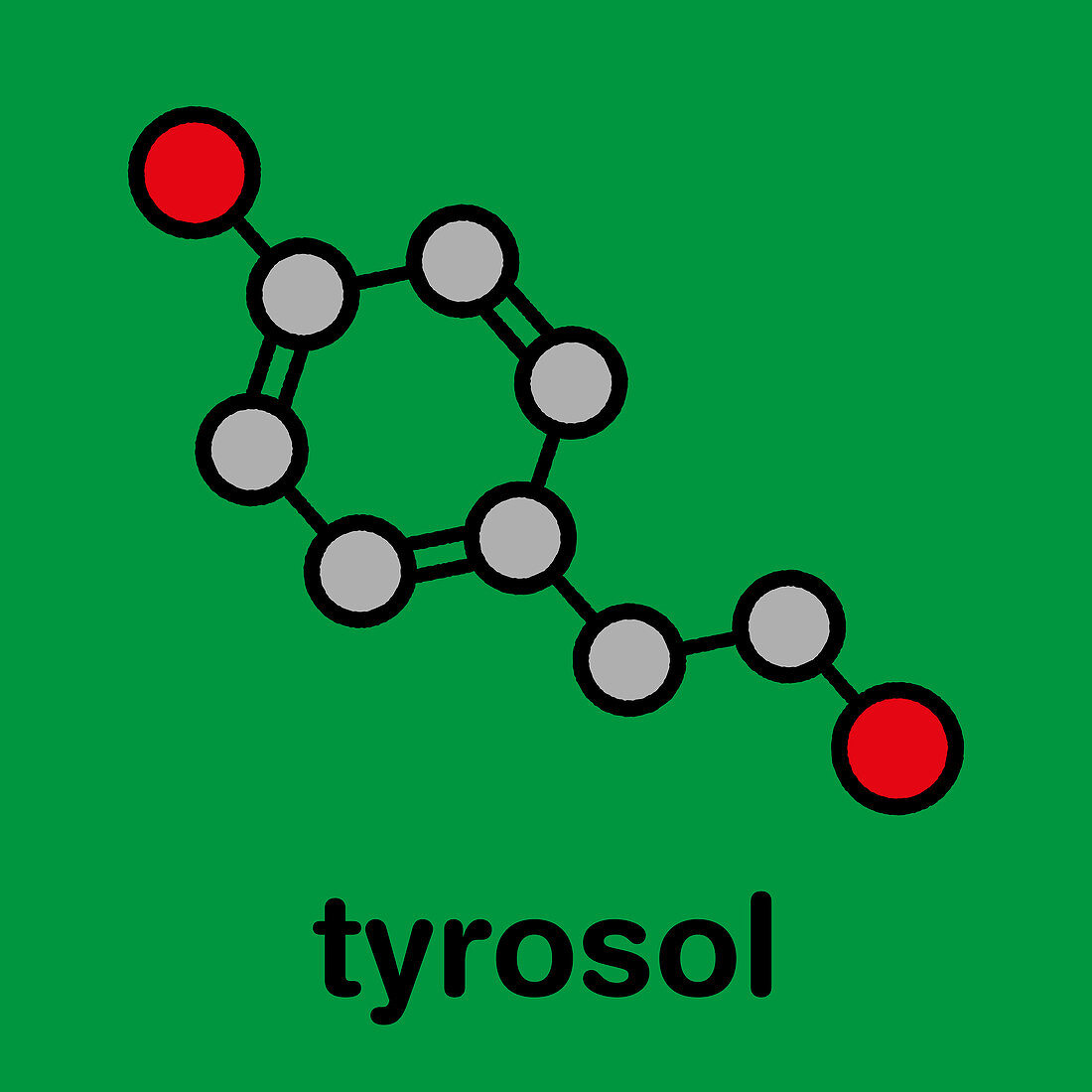 Tyrosol molecule, illustration