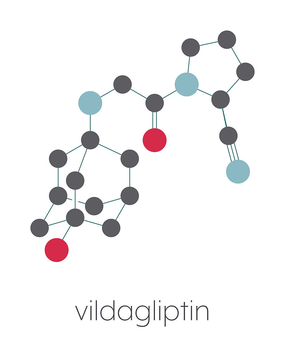 Vildagliptin diabetes drug molecule, illustration