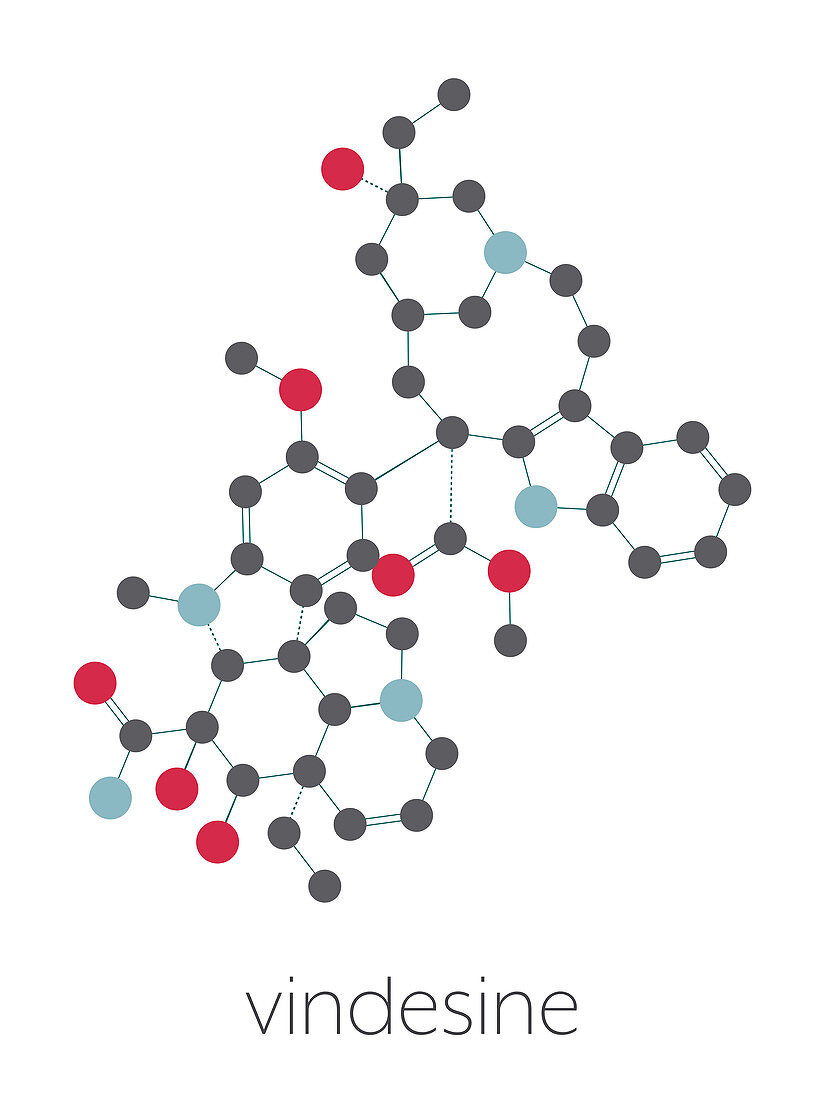 vindesine cancer chemotherapy drug molecule, illustration