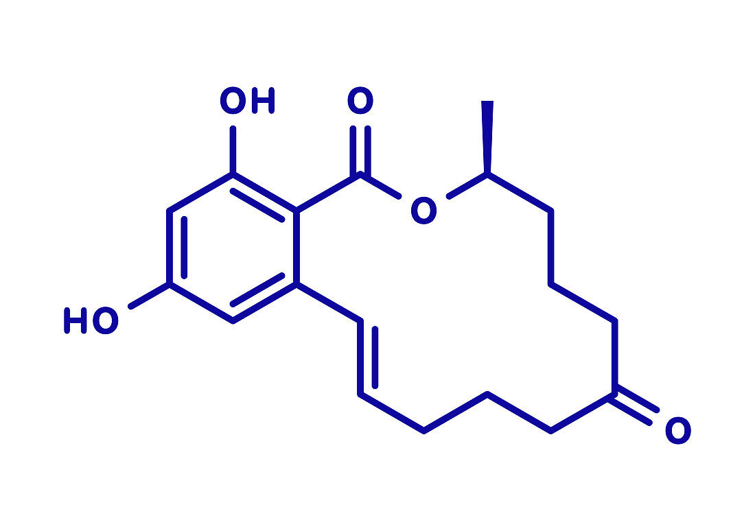 Zearalenone mycotoxin molecule, illustration
