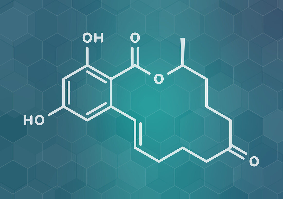 Zearalenone mycotoxin molecule, illustration