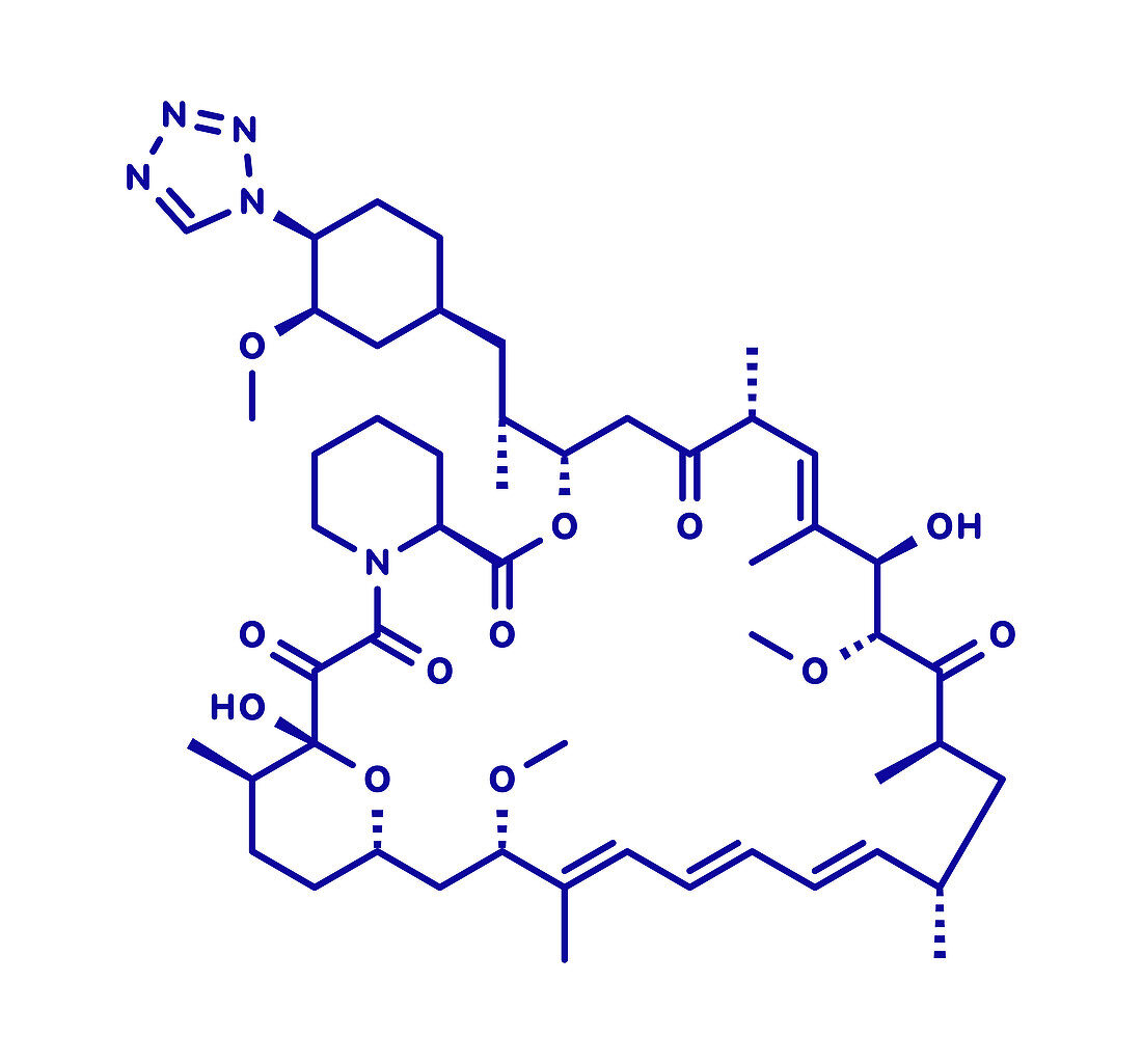 Zotarolimus immunosuppressant molecule, illustration