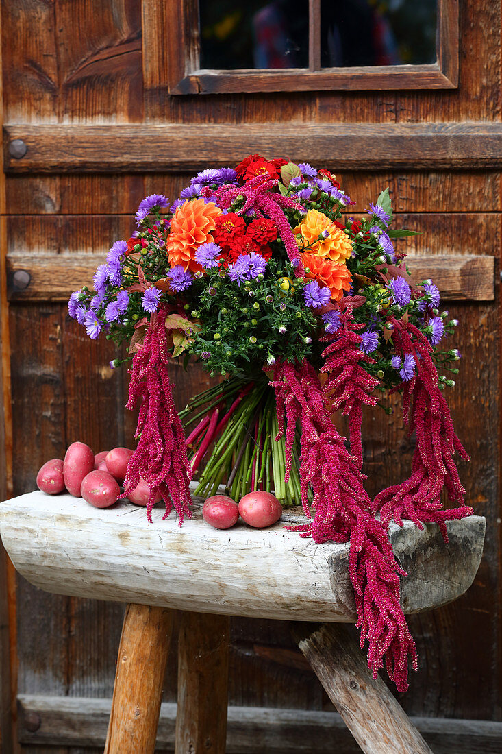 Autumn bouquet of dahlias, Michaelmas daisies and amaranth