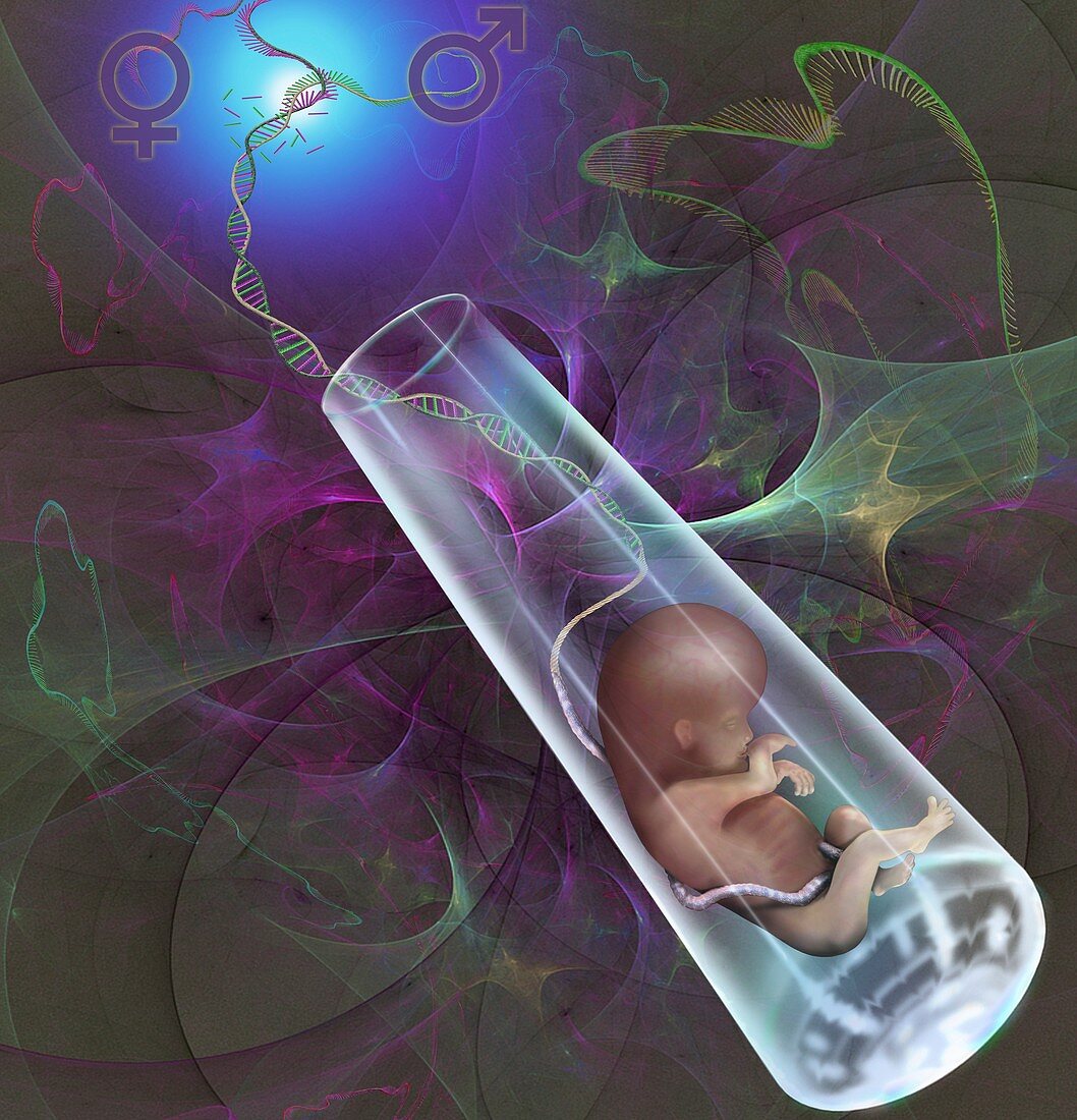 Test tube baby, conceptual illustration