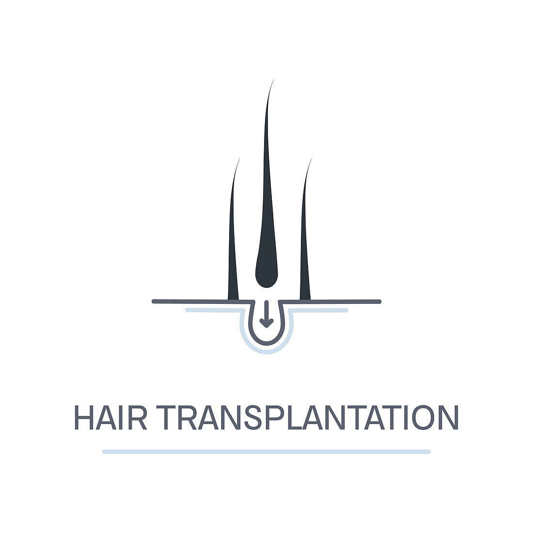 Hair transplantation, conceptual illustration