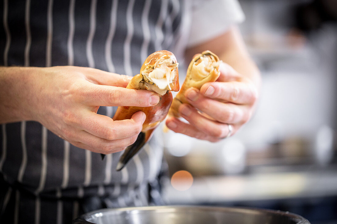 A crab being prepared